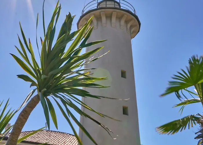 With Garden And Place *